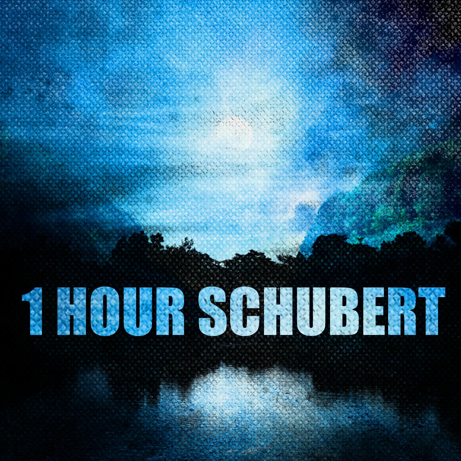 1 Hour Schubert