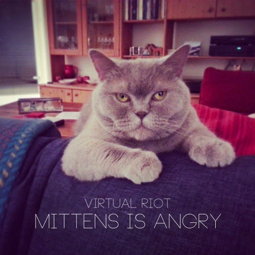 Mittens Is Angry