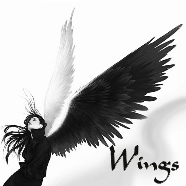 Wings