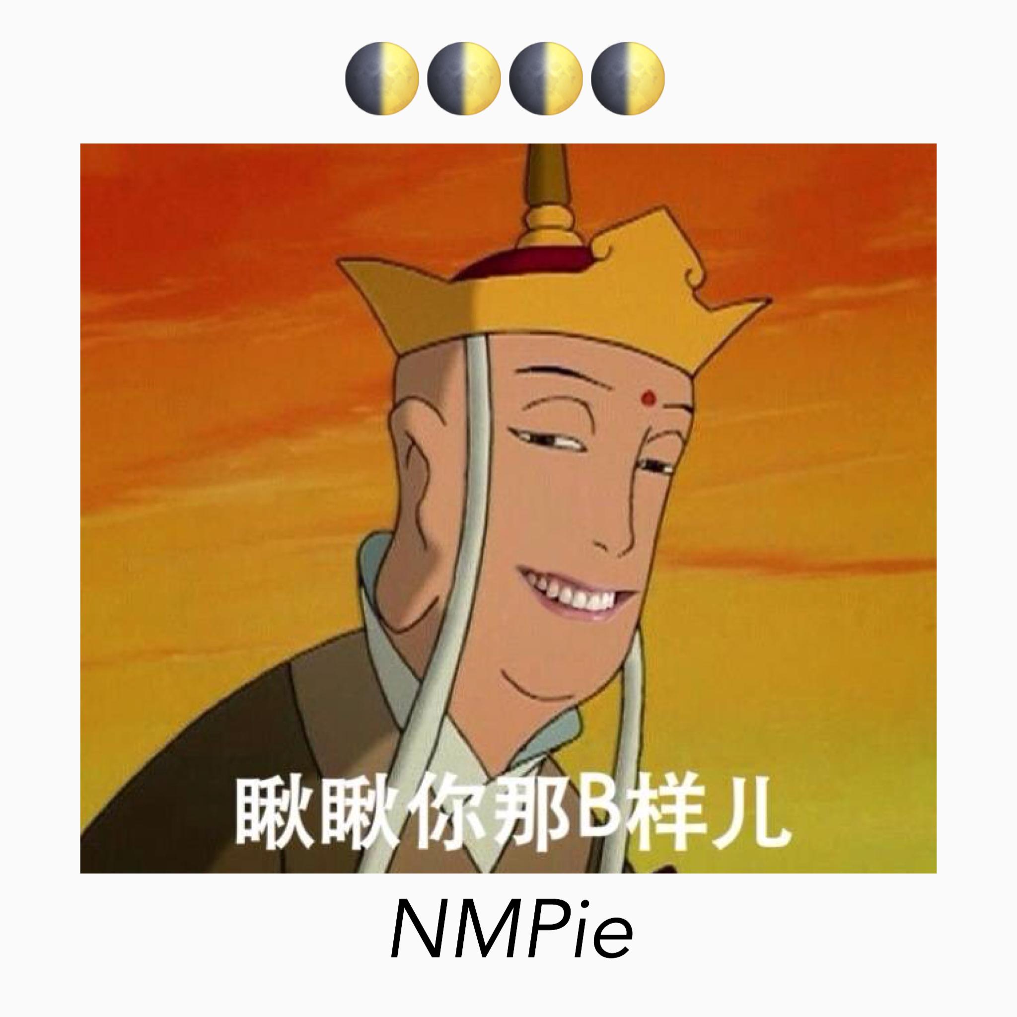 NMPie