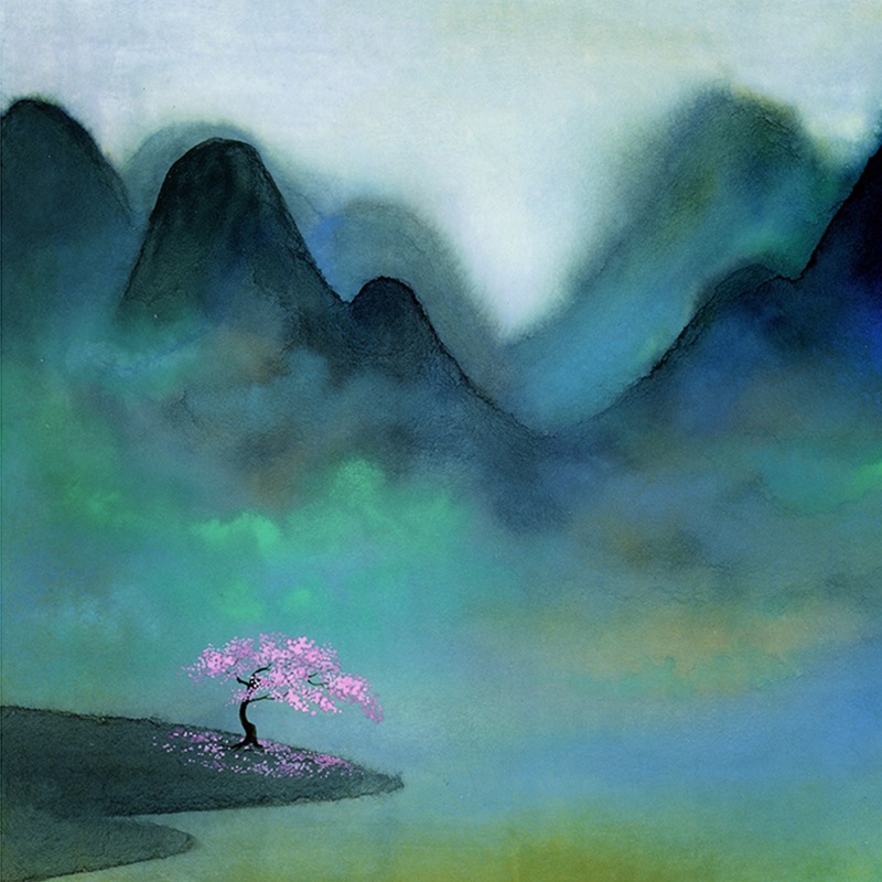 hua zhi chun ye Cover  bu cai