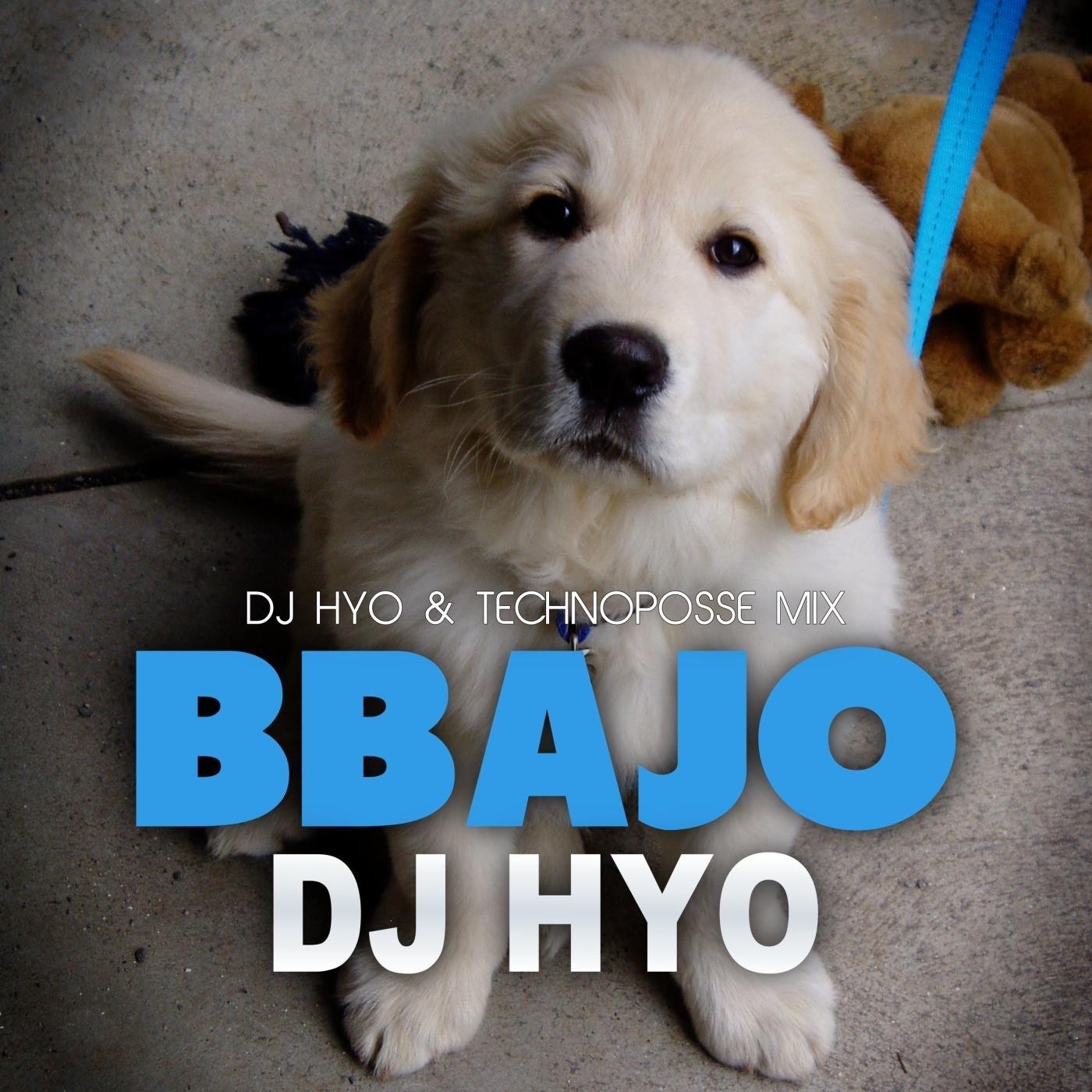 Bbajo (Dj Hyo & Technoposse Radio Edit)