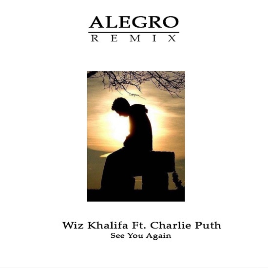  See You Again (Alegro Remix)