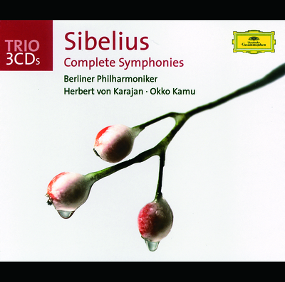 Sibelius: Symphony No.1 in E minor, Op.39 - 2. Andante (ma non troppo lento)