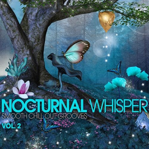 Nocturnal Whisper Vol.2: Smooth Chill Out Grooves