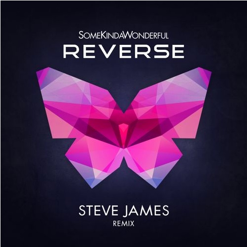 SomeKindaWonderful - Reverse (Steve James Remix)