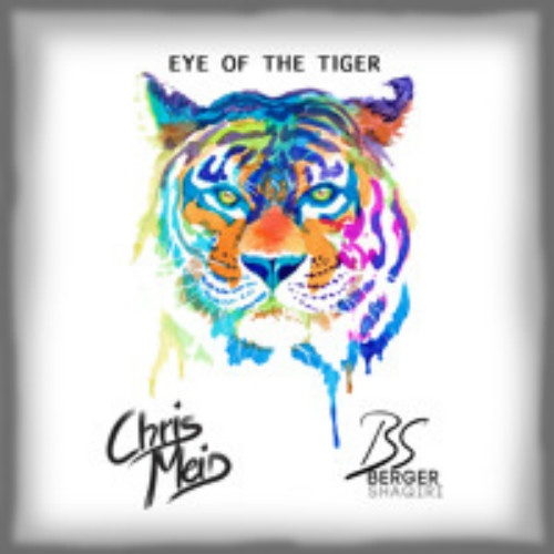 Eye Of The Tiger 