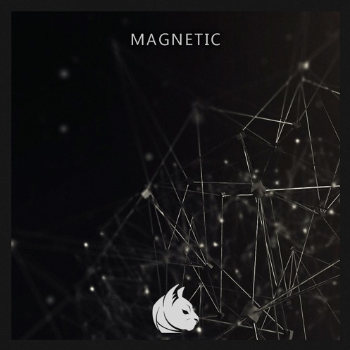 Magnetic