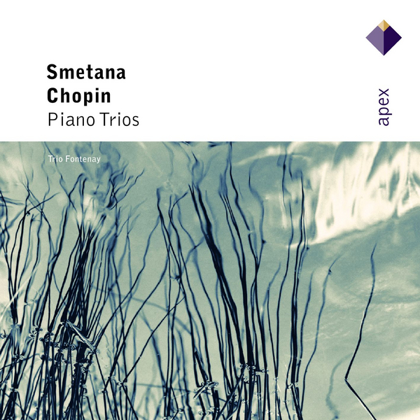 Smetana : Piano Trio in G minor Op.15 : III Finale - Presto
