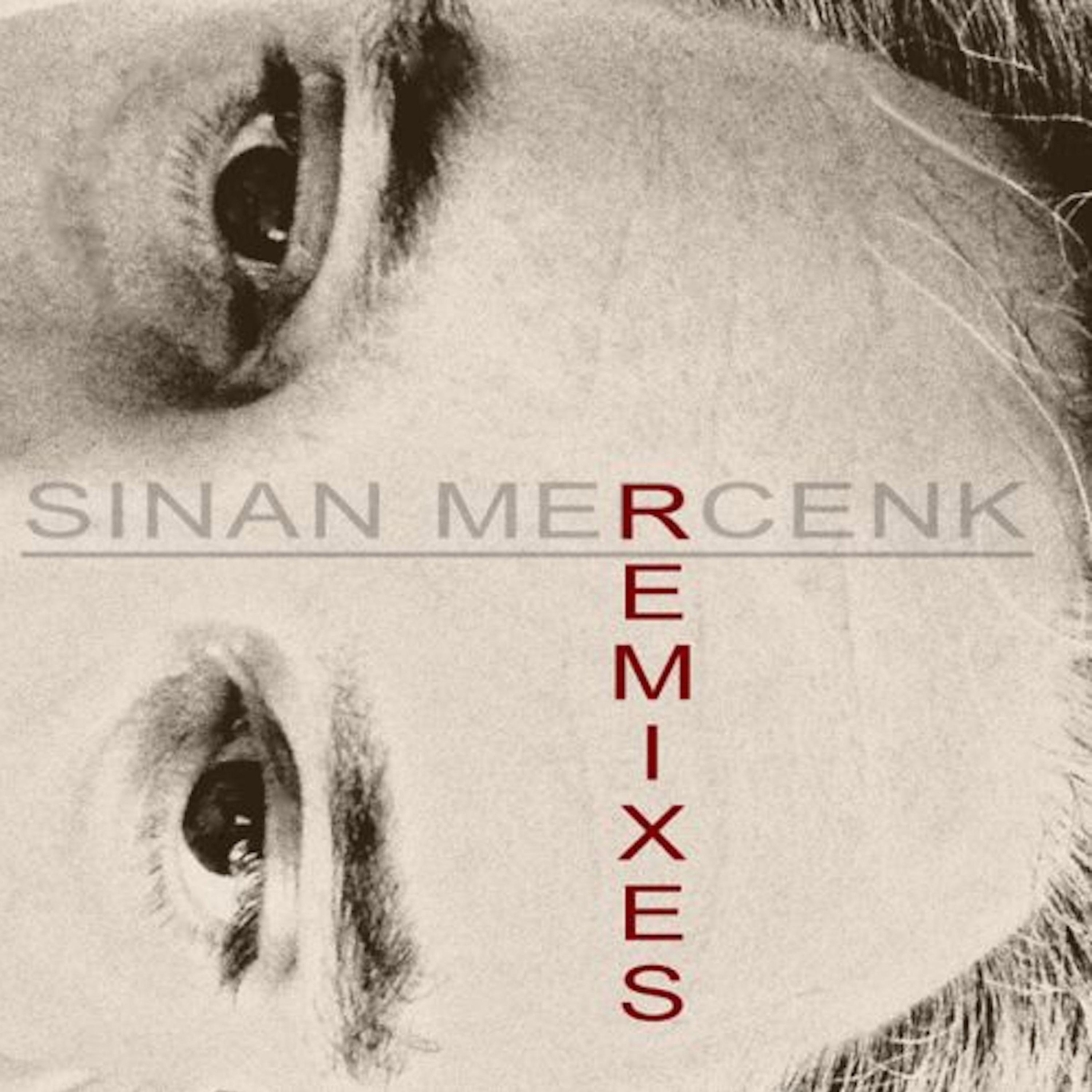 These Thoughts (Sinan Mercenk's Remix)