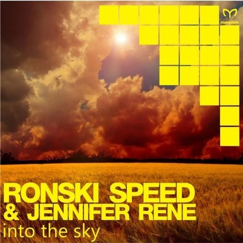 Into The Sky (Stoneface & Terminal Remix)