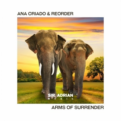 Arms Of Surrender (Original Mix)