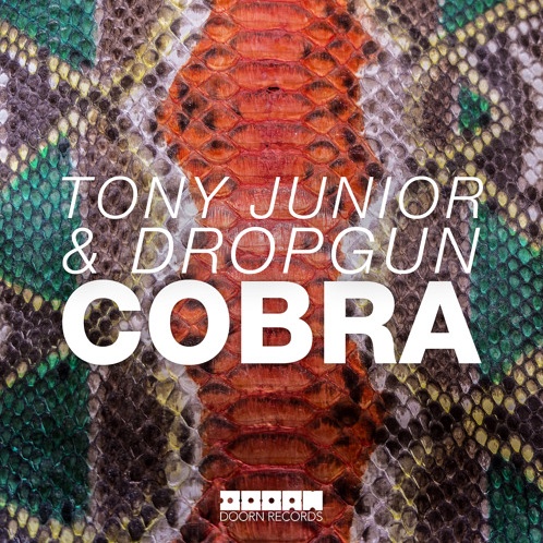 Cobra (Olly James Bootleg)