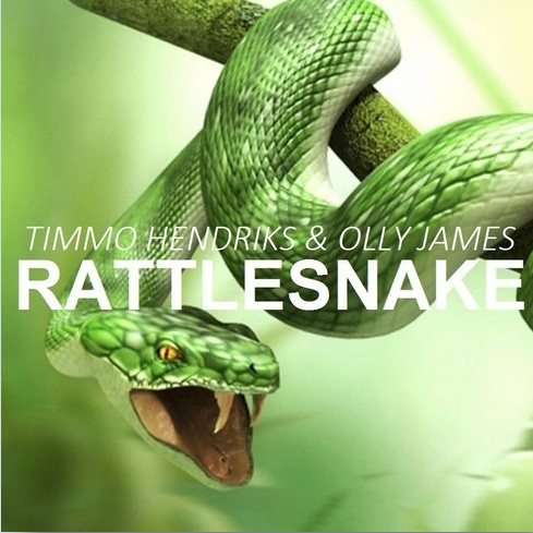 Rattlesnake(Original Mix)