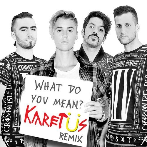 What Do You Mean? (Karetus Remix)