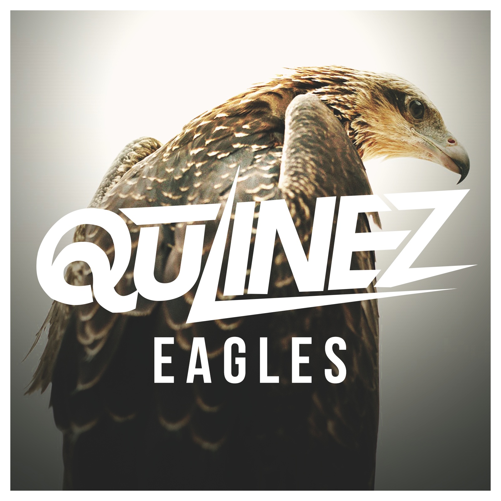Eagles (Original Mix)