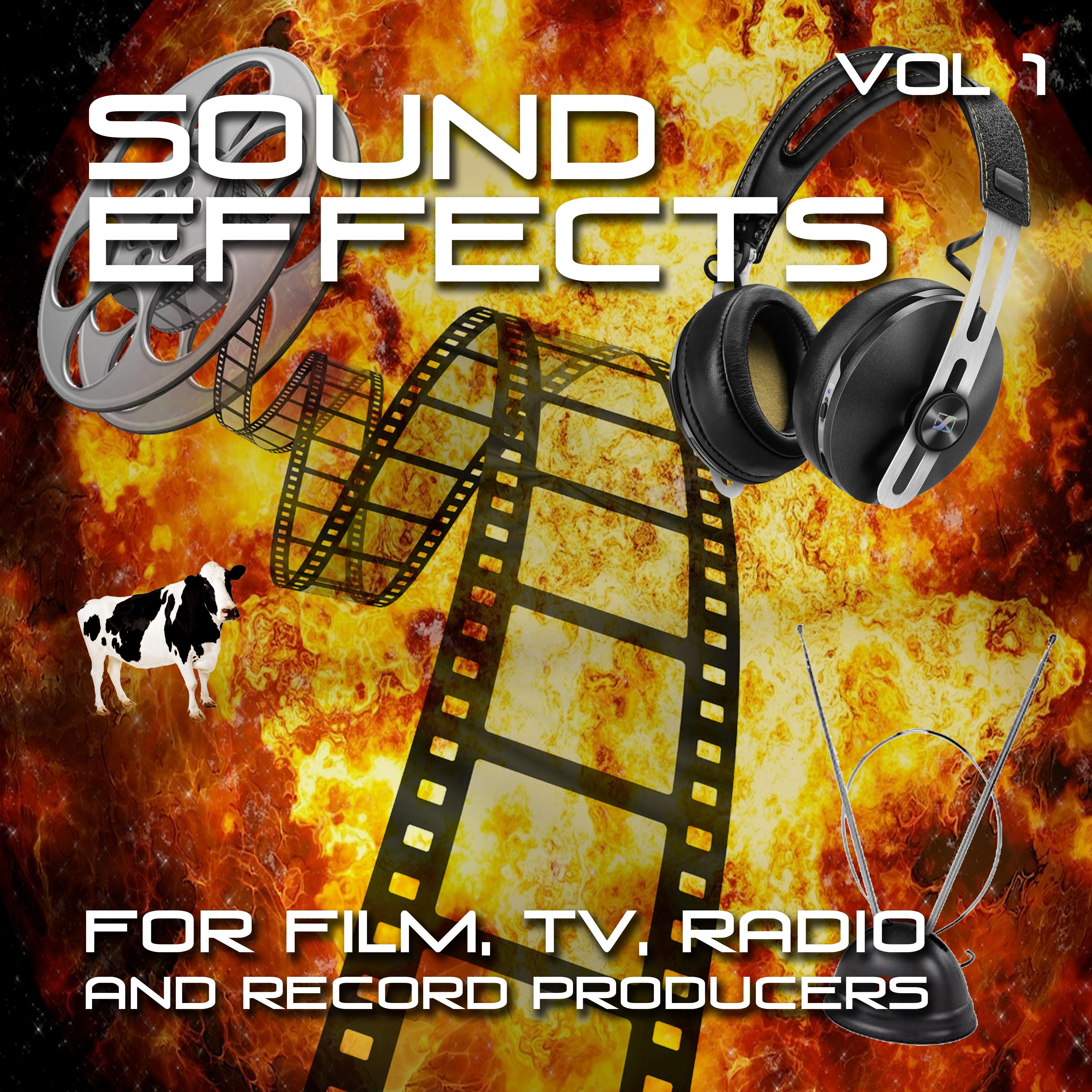 Sound Effect for Film, Tv, Radio and Record Producers, Vol. 1