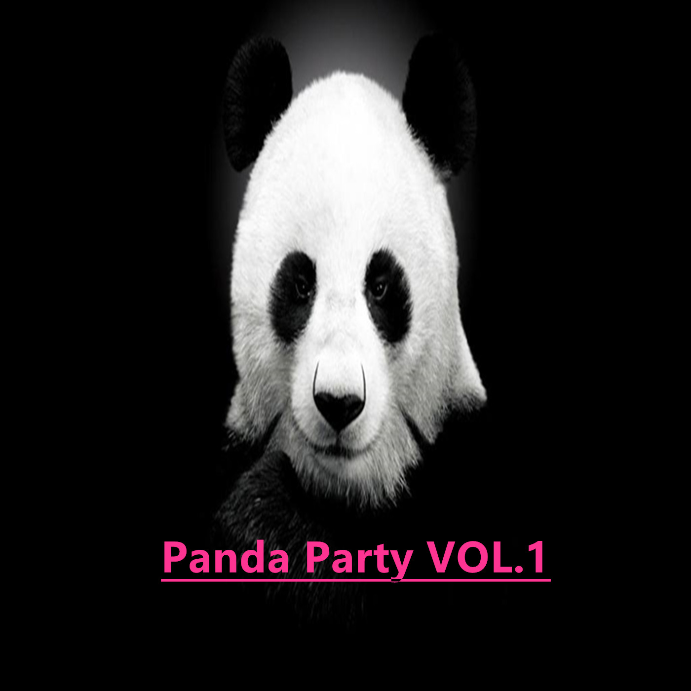 Panda Party  voL.1