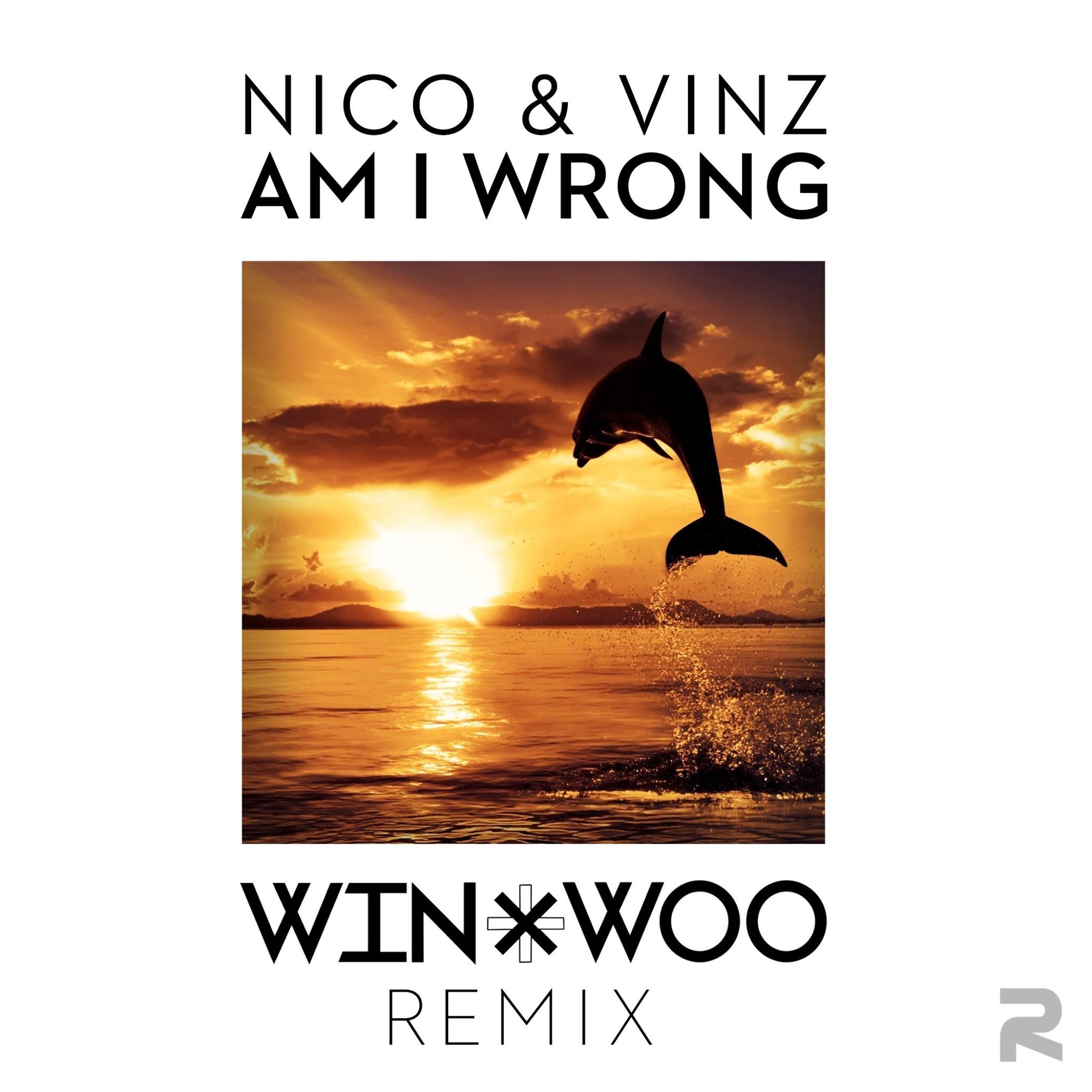 Am I Wrong (Win & Woo Remix)