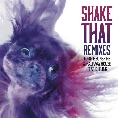 Shake That (Leon Vice Remix)