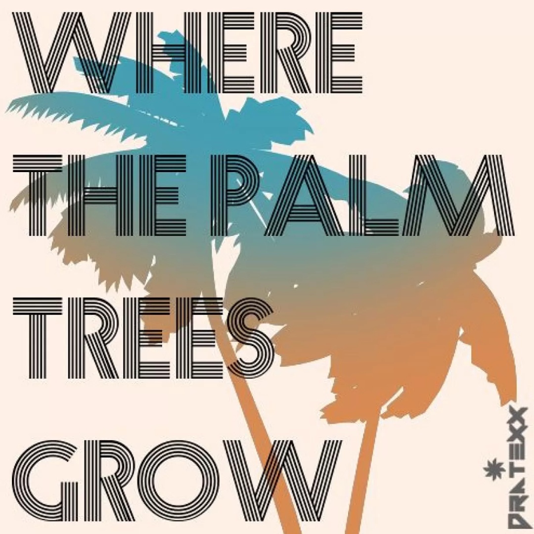 Where The Palm Trees Grow