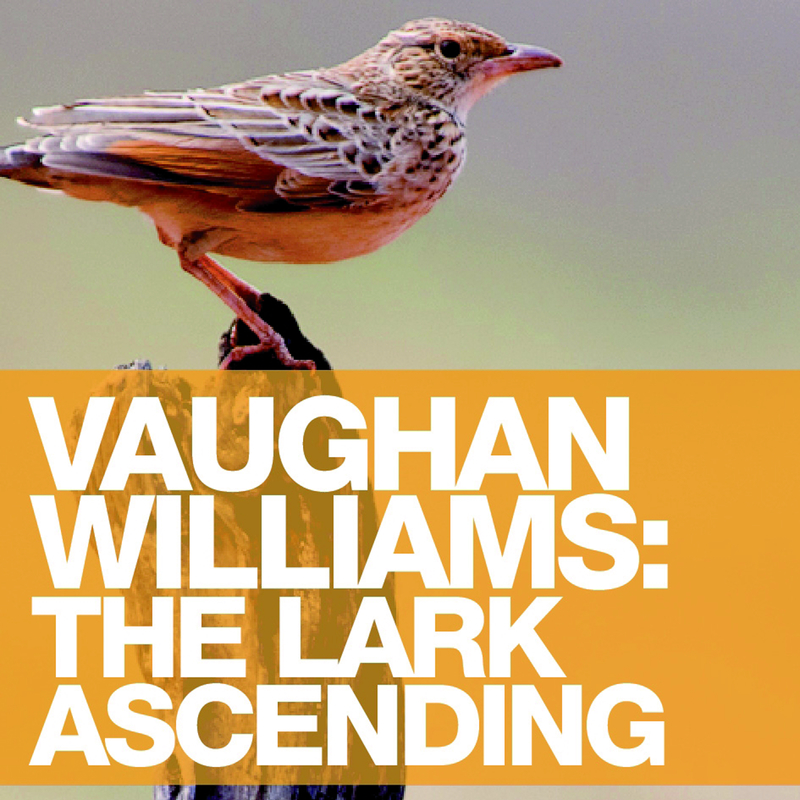 Vaughan Williams: The Lark Ascending - Album Version