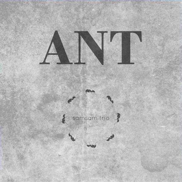 Ant 