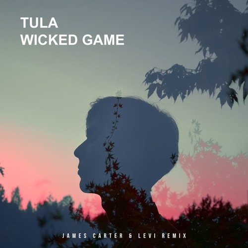 Wicked Game(James Carter & Levi Remix)