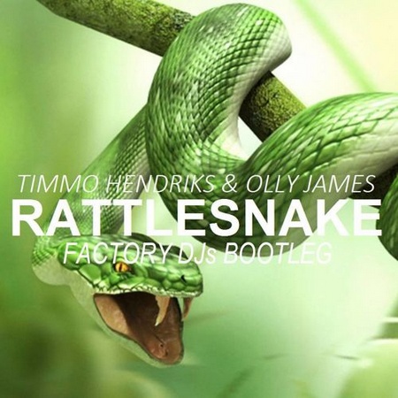Rattlesnake (Factory DJs Bootie)