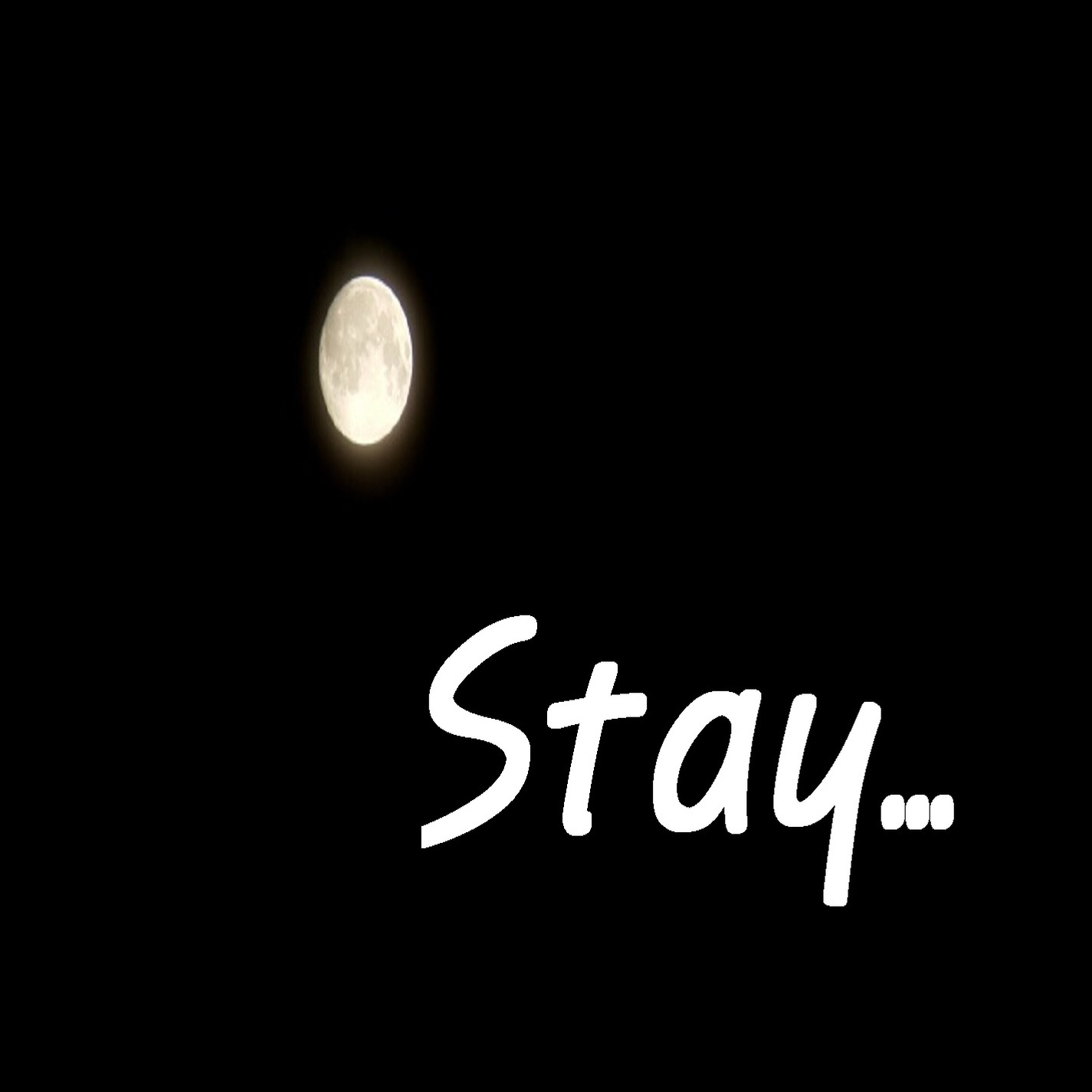 Stay