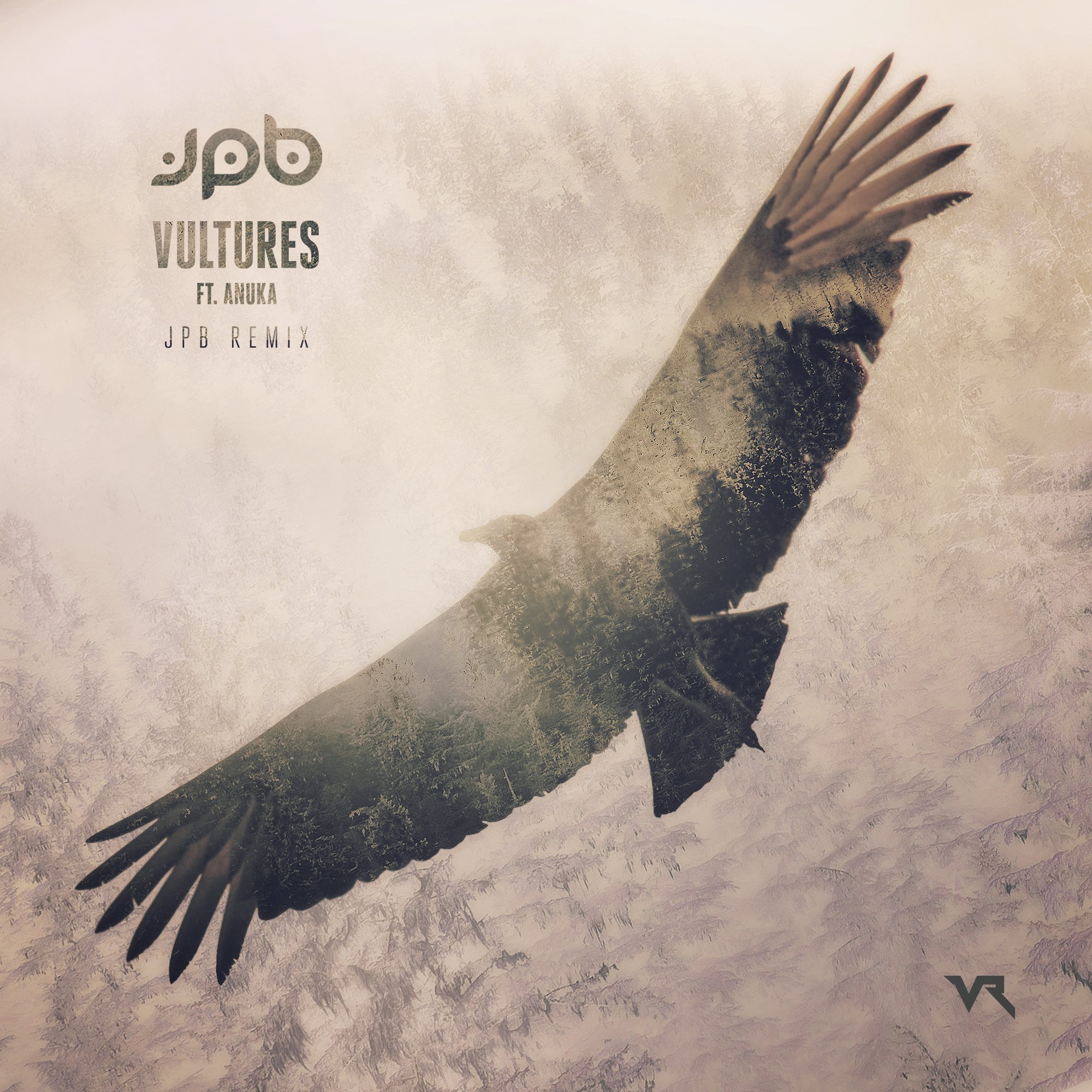 Vultures (JPB Remix)