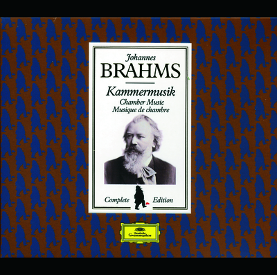 Brahms: Sonata For Violin And Piano No. 2 In A, Op. 100  2. Andante tranquillo  Vivace  Andante  Vivace di piu  Andante vivace