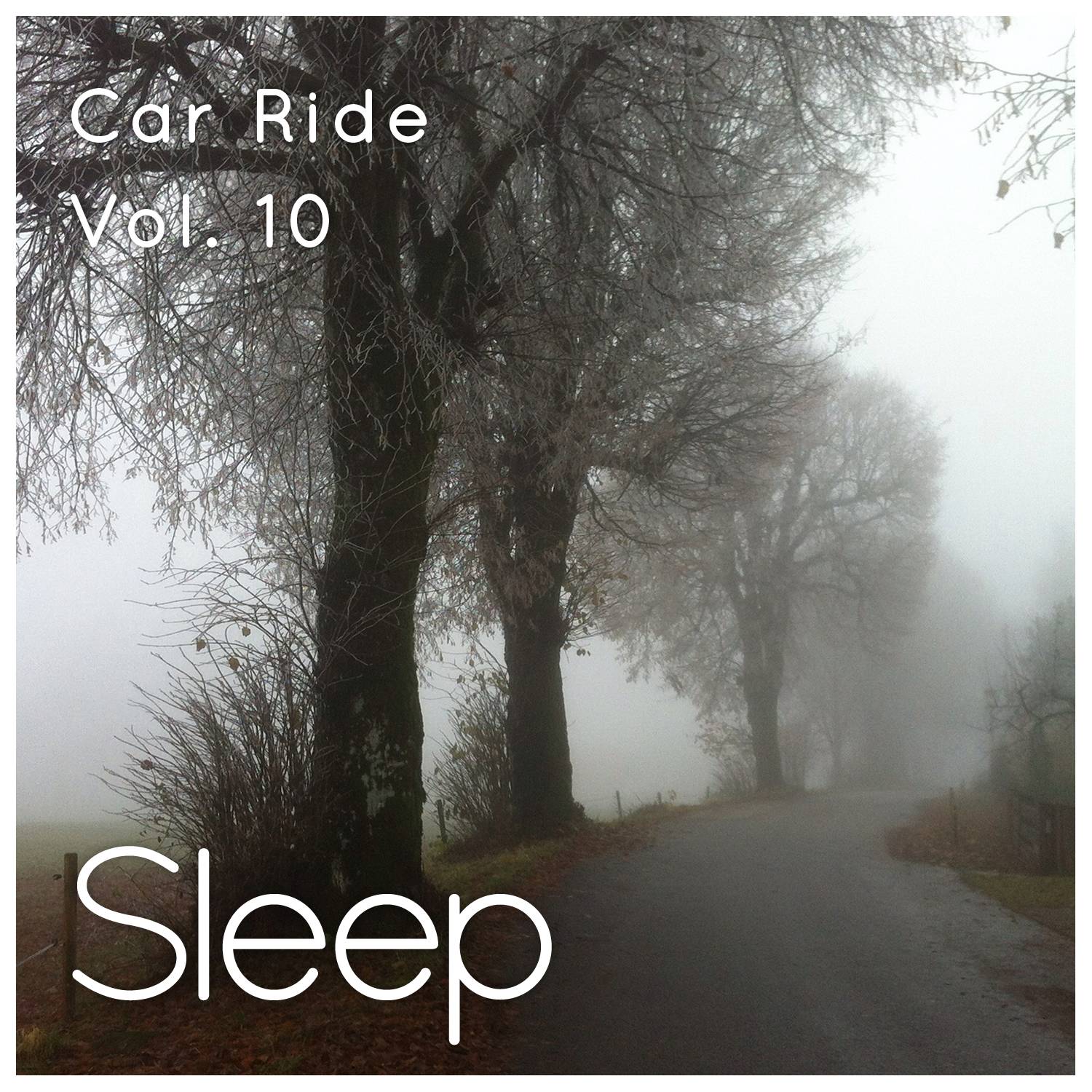 Car Ride Sleep, Pt. 46