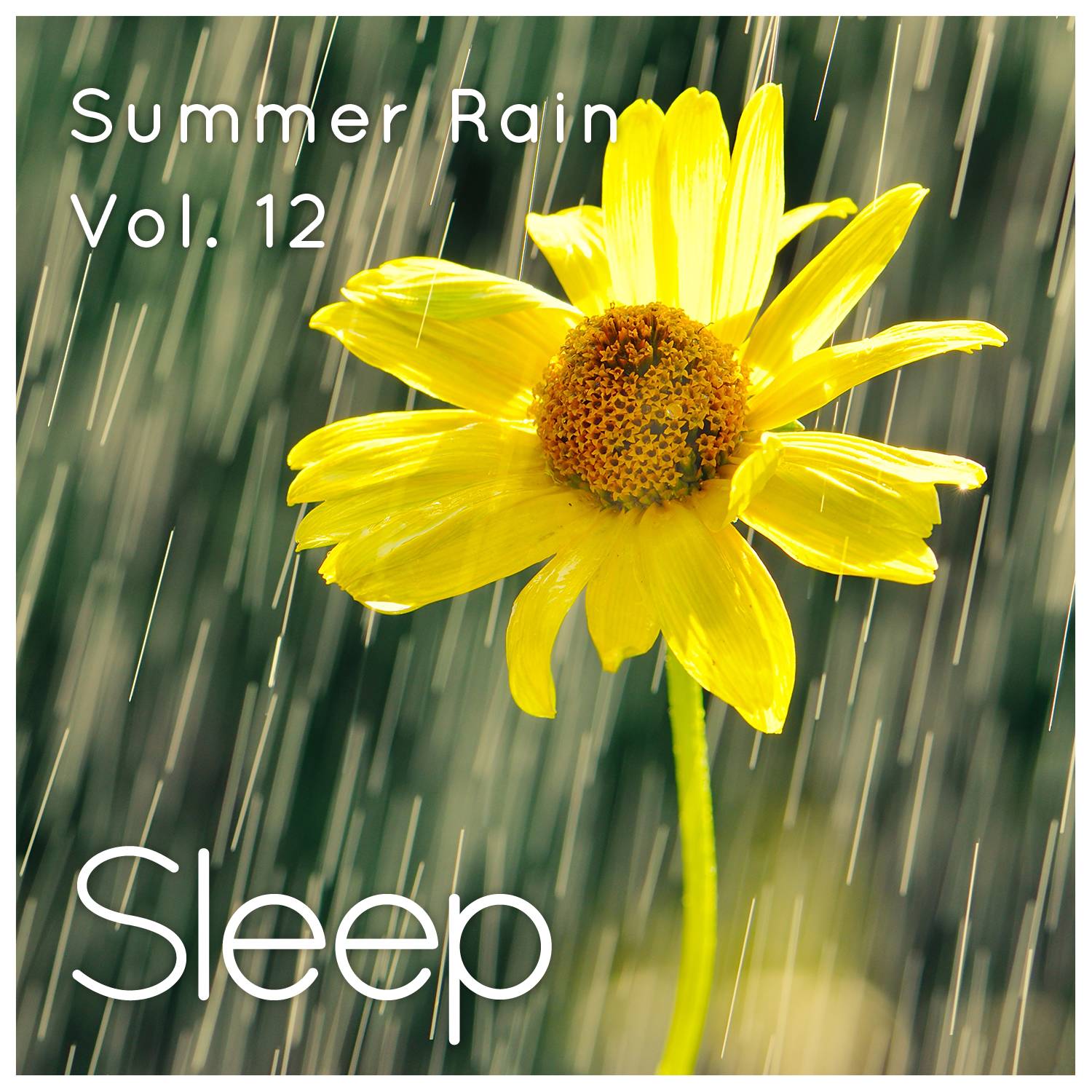 Summer Rain Sleep Relaxation Sounds, Pt. 57