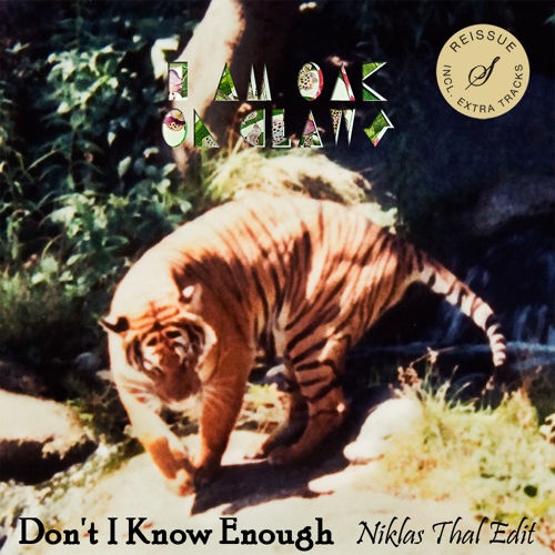 Don't I Know Enough (Niklas Thal Edit)