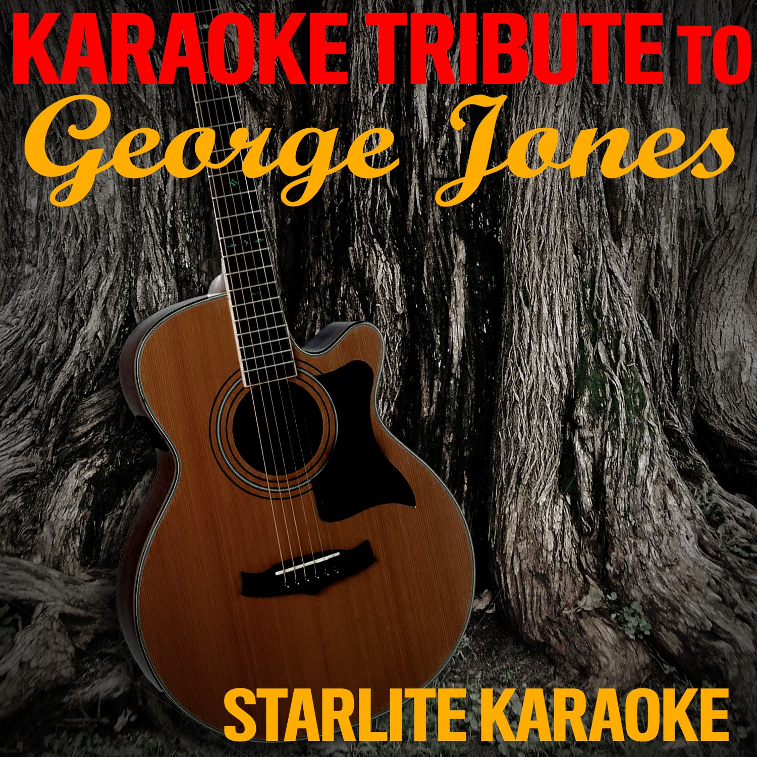 George Jones Karaoke Style