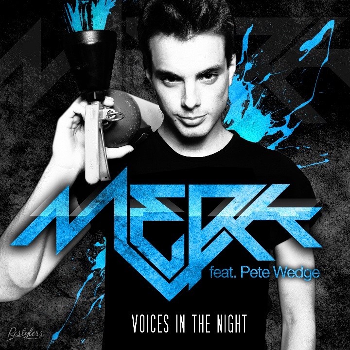 Voices In The Night