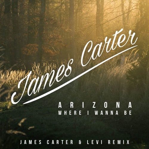 Where I Wanna Be (James Carter & Levi Remix)