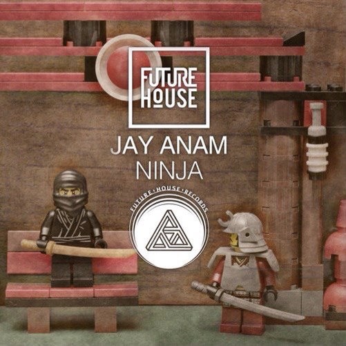 Ninja (Original Mix)