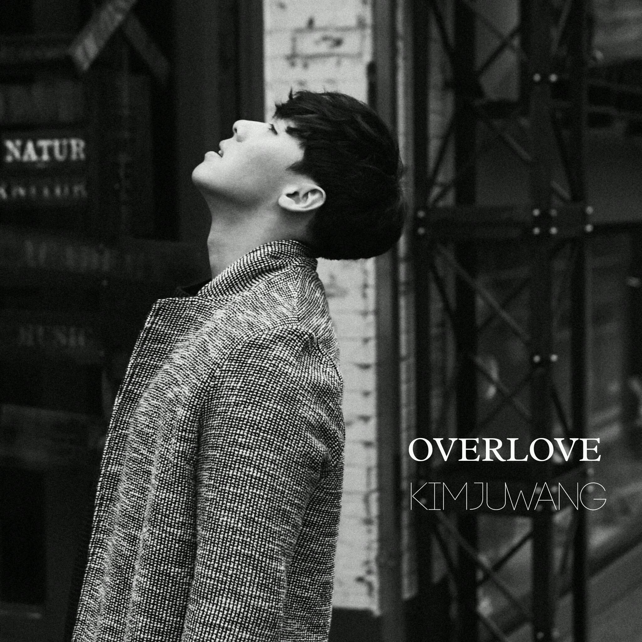 OVERLOVE (Inst.)