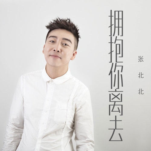 yong bao ni li qu DJ cheng li Remix