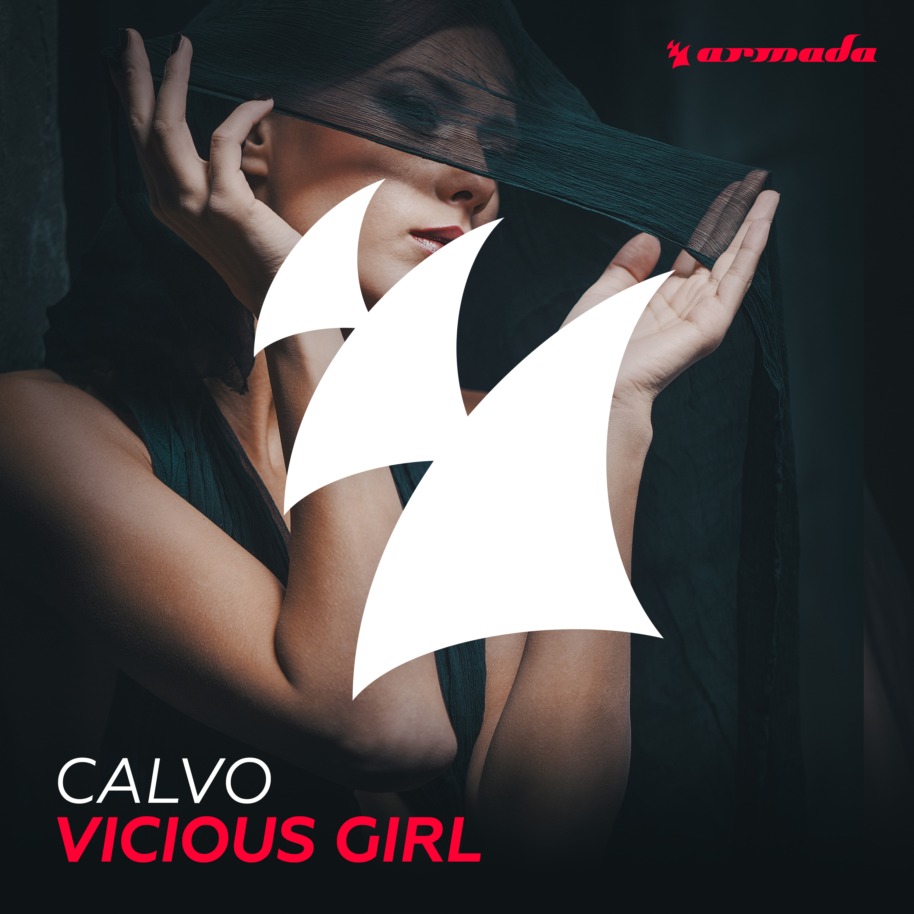 Vicious Girl (Original Mix)