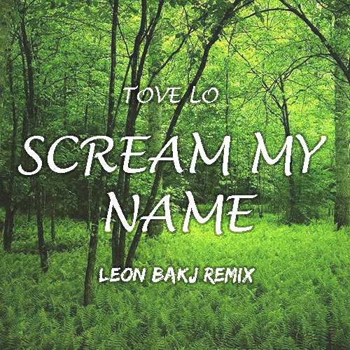  Scream My Name (Leon Bakj Remix)