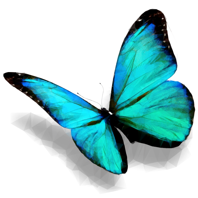 Diamond Butterfly