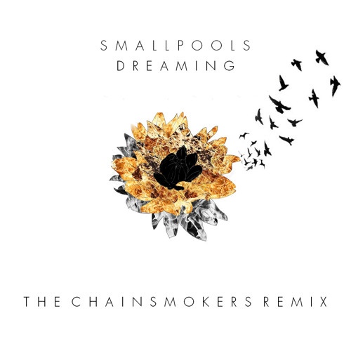 Dreaming (The Chainsmokers Remix)