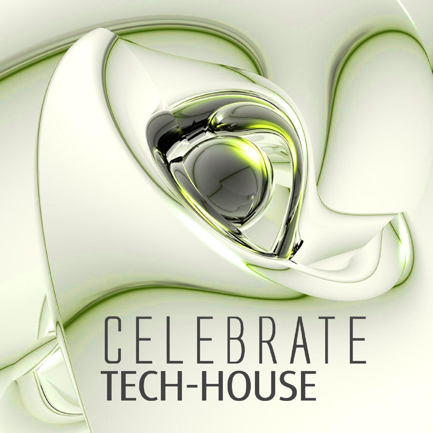 Celebrate Tech-House, Vol. 2 (Best Underground Tracks Out of the Clubs of Ibiza)