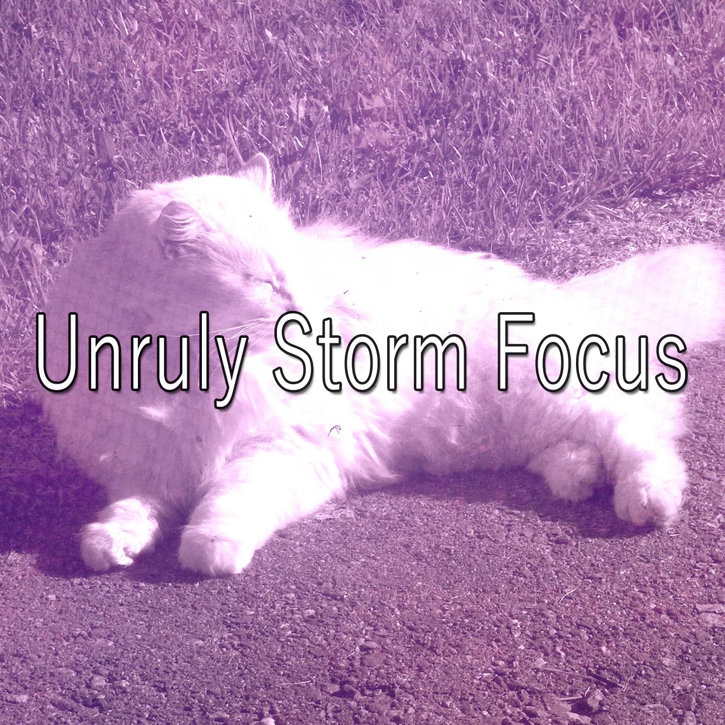 Unruly Storm Focus