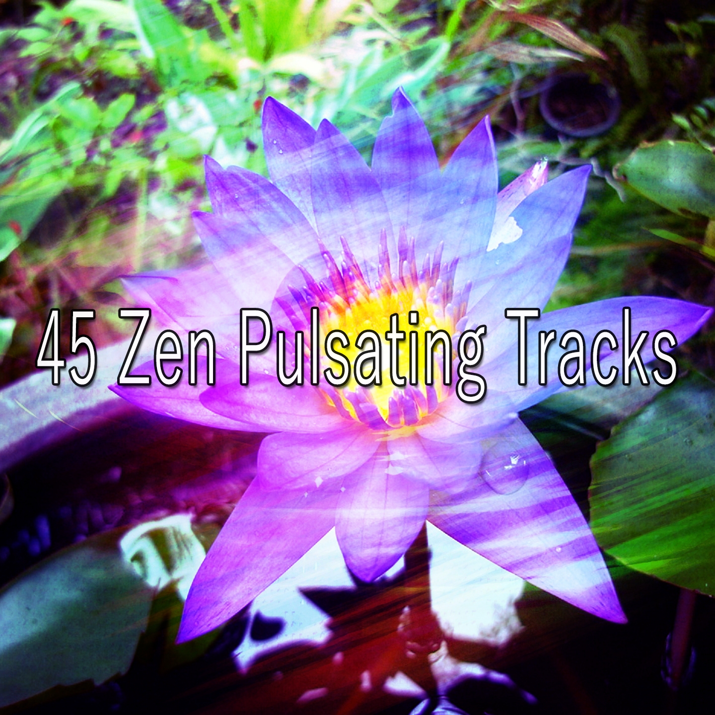 45 Zen Pulsating Tracks