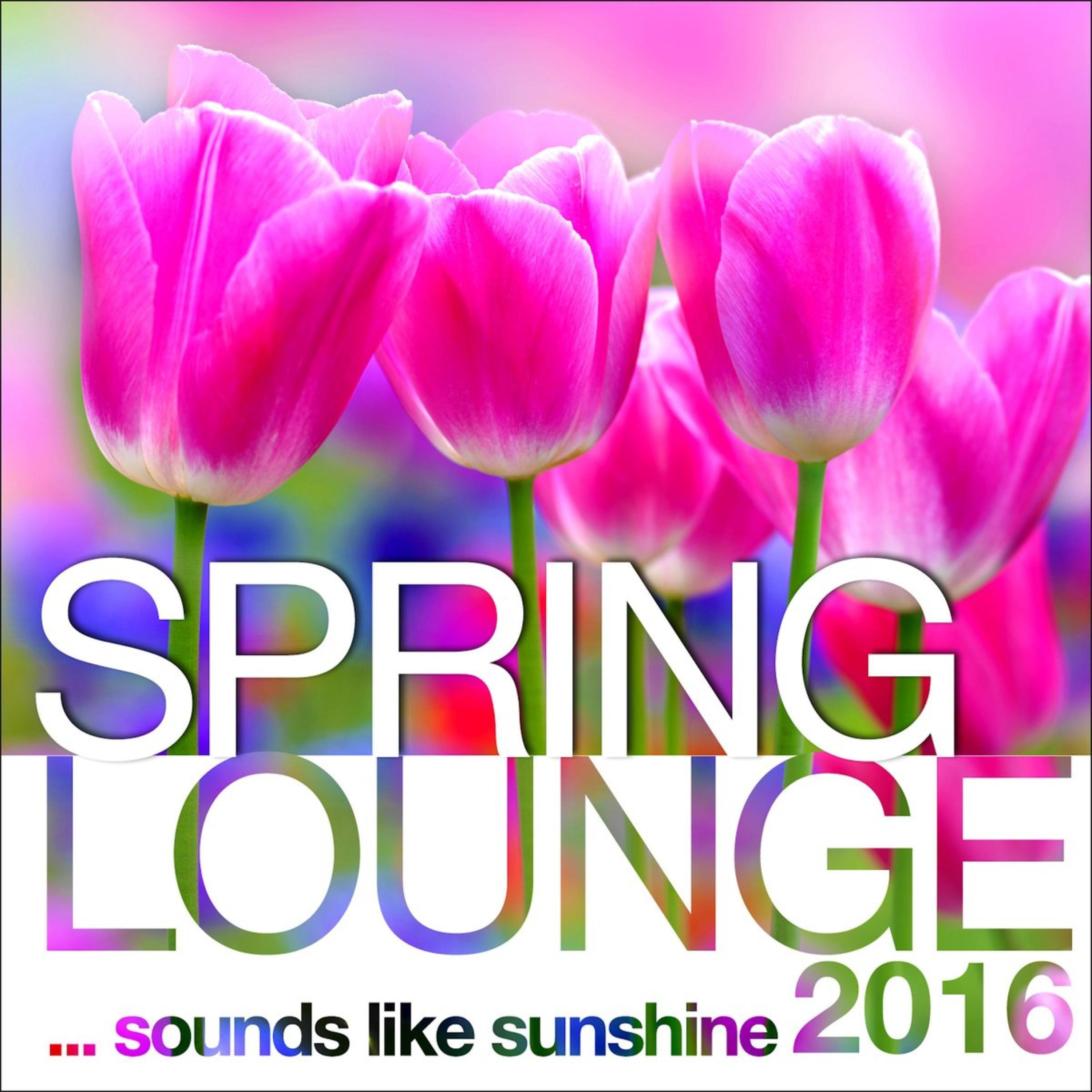 Spring Lounge 2016 (Continuous Mix)
