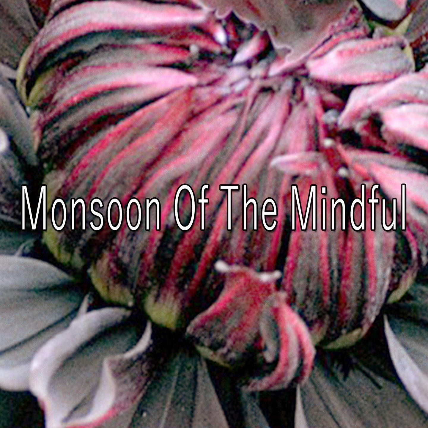 Monsoon Of The Mindful